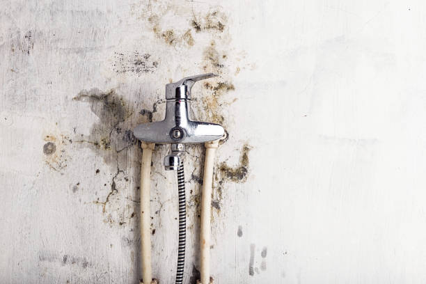 Best Mold Removal Near Me  in China Grove, NC