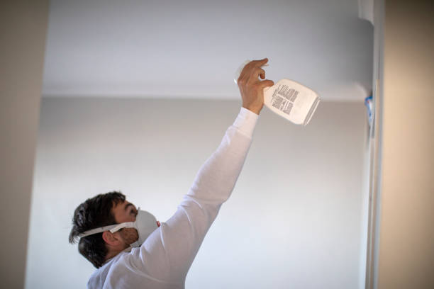 Best Mold Remediation  in China Grove, NC