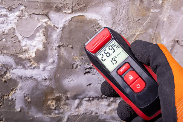 Best Residential Mold Removal  in China Grove, NC