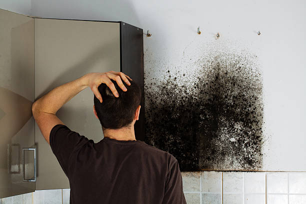 Attic Mold Removal in China Grove, NC