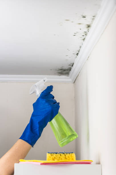 Best Water Damage Restoration  in China Grove, NC